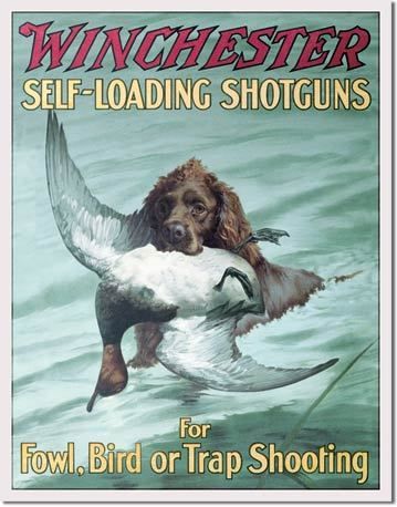 Winchester TIN SIGN Duck retriever gun hunting ad 1591  