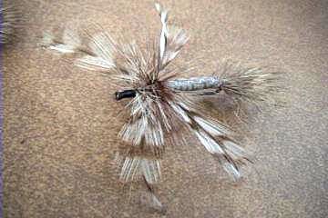 Old Fly Fishing Flies A 5  