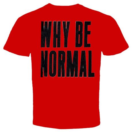 Why Be Normal Funny Cool Crazy rude vulgar T Shirt  