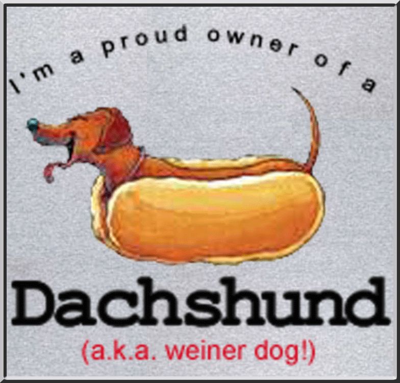 Funny Dachshund AKA Weiner Dog T Shirt S,M,L,XL,2X,3X  