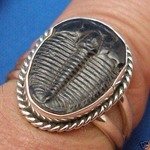 Trilobite Ring, Sterling Silver, Elrathia kingi, Utah  