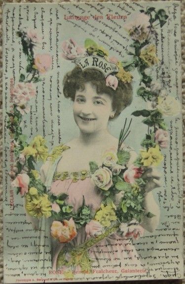 1903 French Bergeret Language of Flowers Postcard Rose  