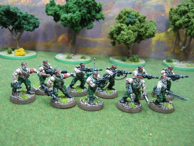 Warhammer 40K DPS painted Imperial Guard Catachan Jungle Fighters 