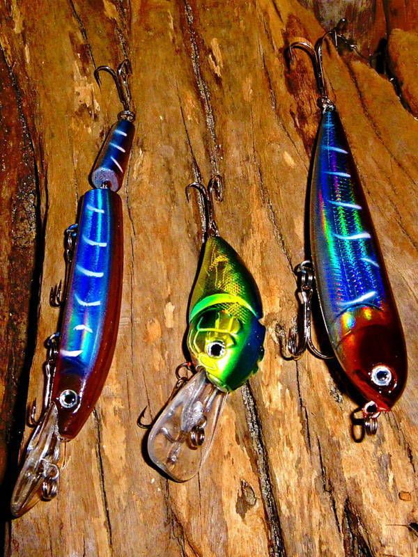 Lures, Surface/Top Water, Jointed Minnow, & Crankbait  