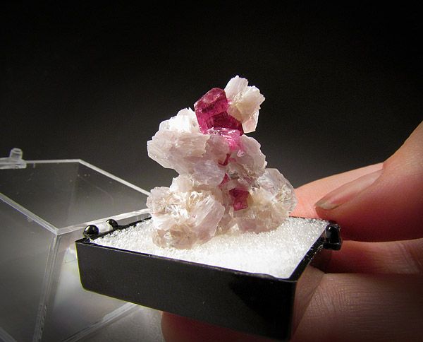 Tourmaline and Lepidolite, Jonas Mine, Minas Gerais, Brazil  