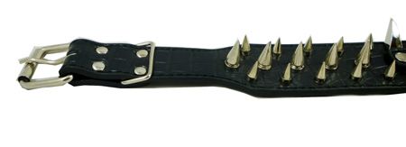 19 23.5 Leather Dog Collar Spikes Black Rottweiler 2  