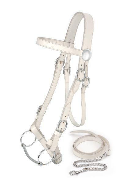 Royal King Draft Show Halter with Lead  