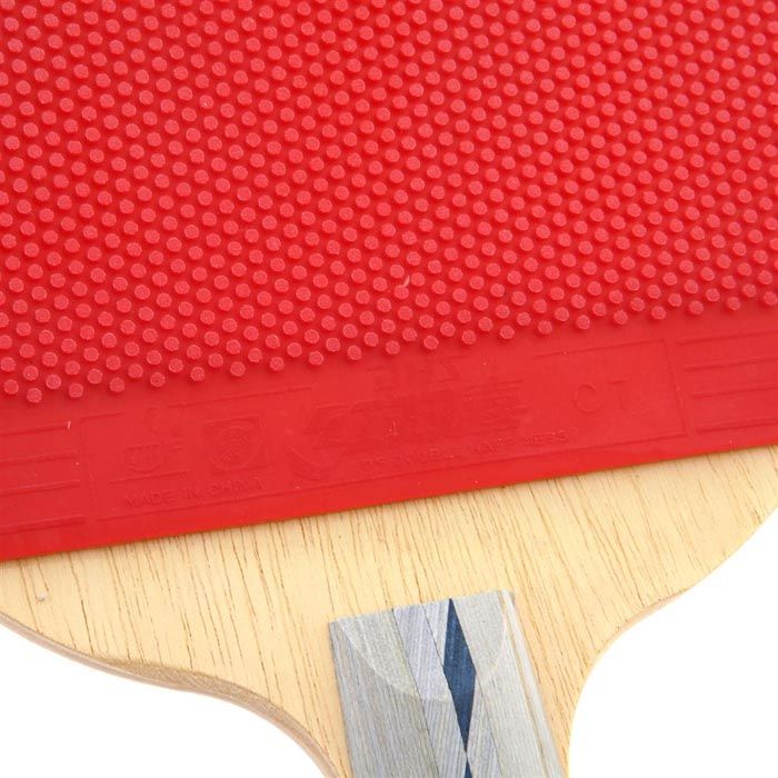 DHS Ping Pong Paddle X3007 Penhold Paddle All round NEW  