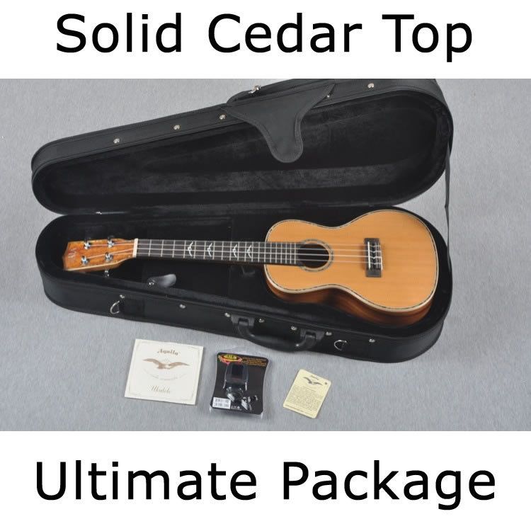 Kala KA KCG CT Hawaiian Koa Concert Ukulele Package  