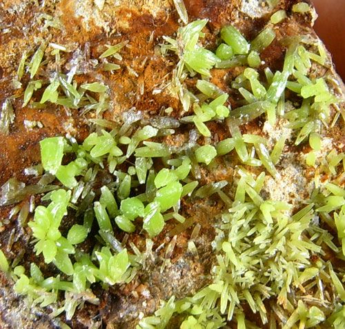 BRIGHT GREEN PYROMORPHITE ON MATRIX FROM CHINA 2x7964  