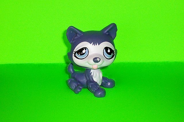 Littlest Pet Shop LPS Figure #1217 Purple Sitting Husky Dog Puppy 