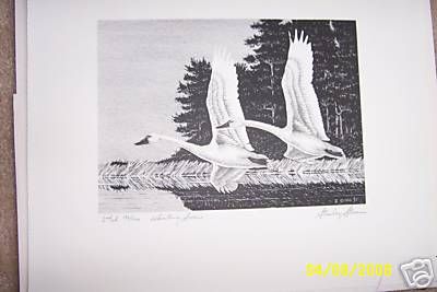 RW33 1966 Stanley Stearns Federal Duck Print BW  