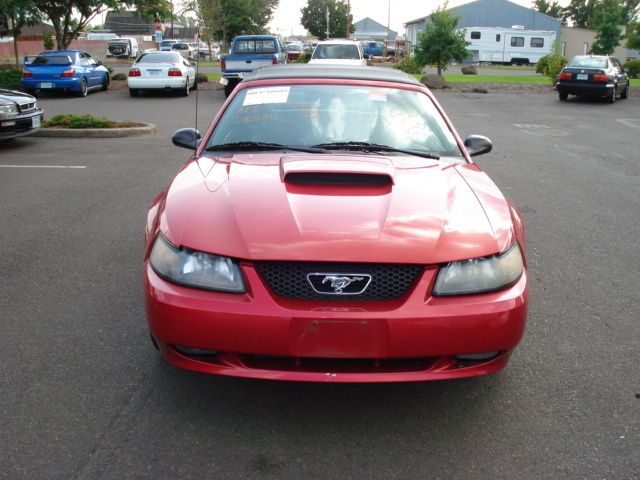 01 FORD MUSTANG Interior Trim Panel on Door  