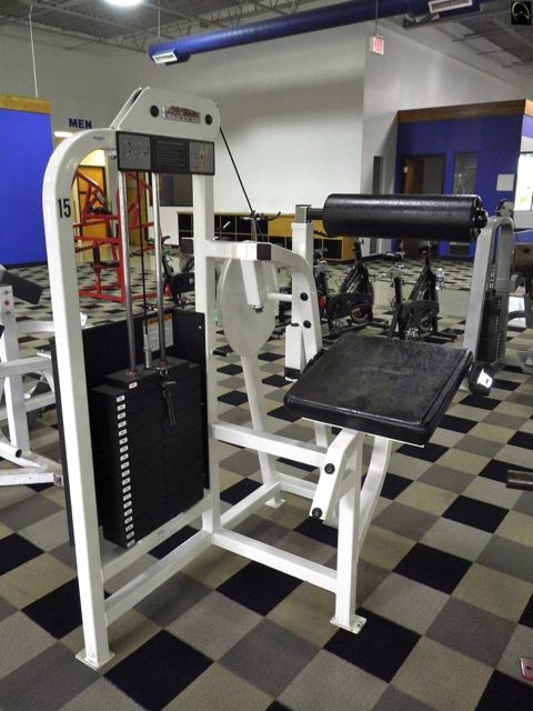 Life Fitness Pro Low Back Core Fitness Workout Strength Studio Gym 