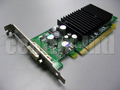 Nvidia NVS280 P231 64MB PCIe Video Card PCI Express and DVI  